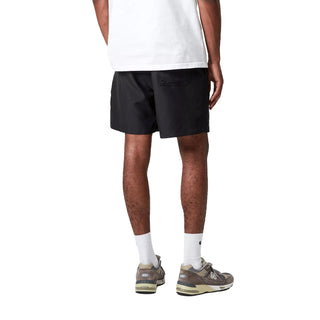 Carhartt WIP Chase Swim Trunks Botanic / Gold - Parasol Store