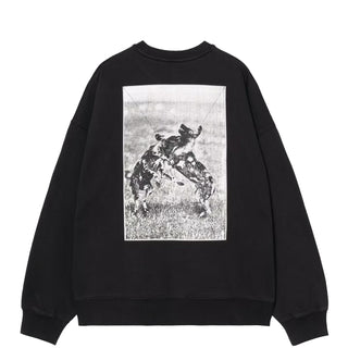 Carhartt WIP No Play Sweat Black - Parasol Store