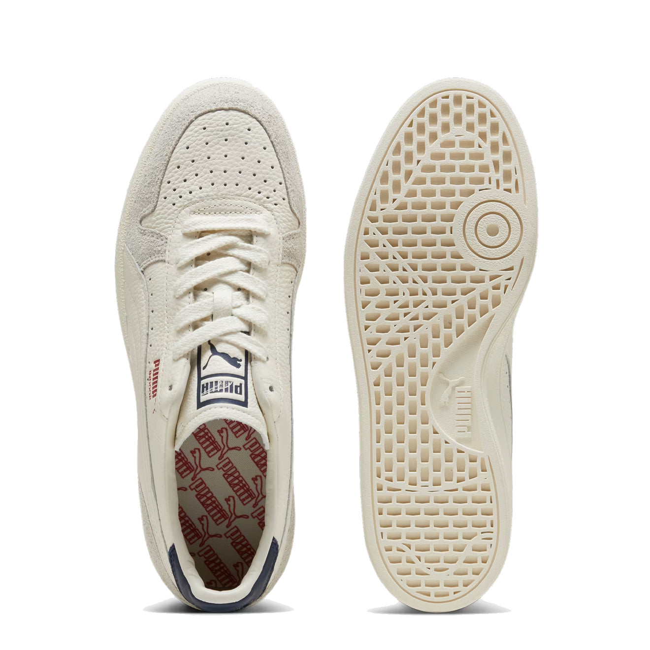 Puma Indoor Frosted Ivory / Vapor Gray - Parasol Store