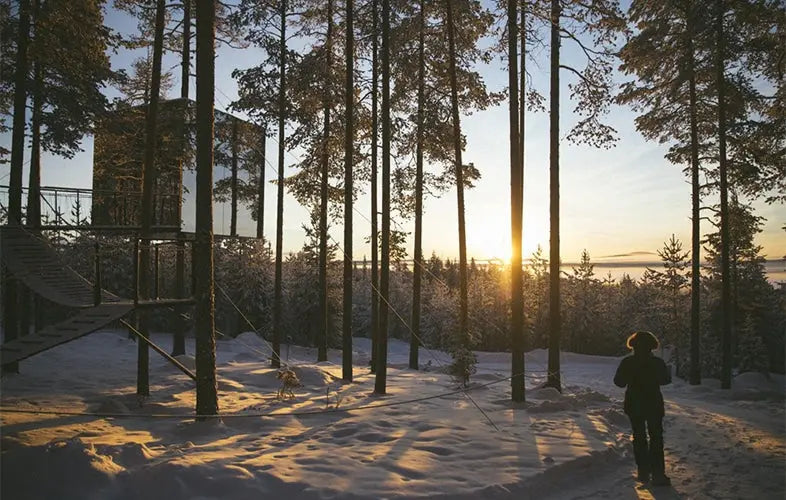 Tree Hotel, Norrbotten County, Sweden
