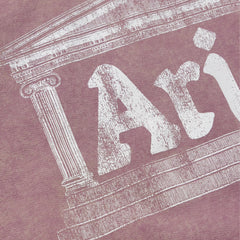 Aries Womens Aged Ancient Column Sweat Pink - Parasol Store