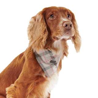Barbour Tartan Bandana Taupe / Pink Tartan - Parasol Store
