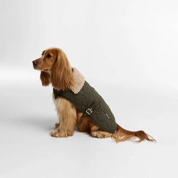 Barbour Beith Quilted Dog Coat Olive