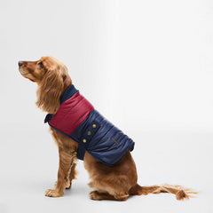 Barbour Brampton Quilted Dog Coat Red/Navy - Parasol Store