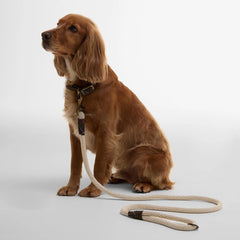 Barbour Cotton Rope Dog Lead Natural/Classic - Parasol Store