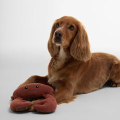 Barbour Crab Dog Toy - Parasol Store