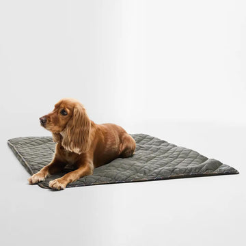 Barbour Dog Quilt & Fleece Blanket Olive