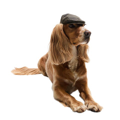 Barbour Dog Wax Flat Cap Olive - Parasol Store