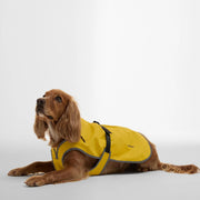 Barbour Evie Waterproof Dog Coat Limeade - Parasol Store