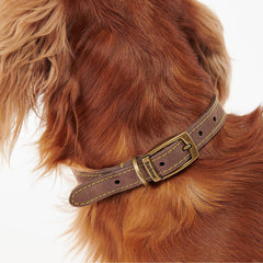 Barbour Leather Dog Collar Brown