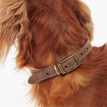 Barbour Leather Dog Collar Brown