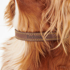 Barbour Leather Dog Collar Brown