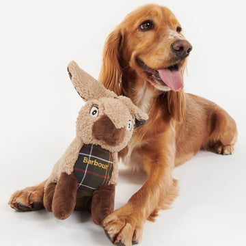 Barbour Rabbit Dog Toy - Parasol Store