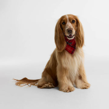 Barbour Tartan Dog Bandana Cardinal Tartan