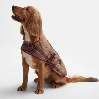 Barbour Tartan Dog Coat Muted Cabernet - Parasol Store
