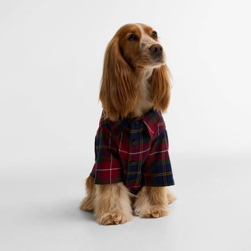 Barbour Tartan Fortrose Dog Shirt Winterberry Tartan