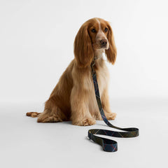 Barbour Tartan Printed Dog Lead Classic Tartan