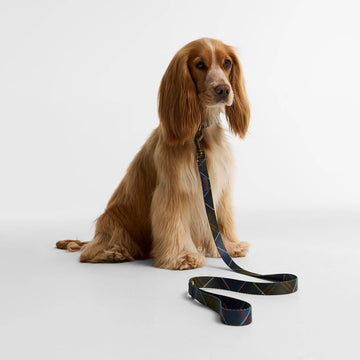 Barbour Tartan Printed Dog Lead Classic Tartan