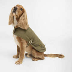 Barbour Transport Dog Coat Dusky Green - Parasol Store