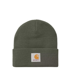 Carhartt WIP Short Watch Hat Shungite