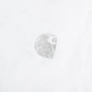 Carhartt WIP Womens S/S Okniceok T-Shirt White - Parasol Store