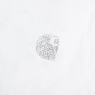 Carhartt WIP Womens S/S Okniceok T-Shirt White - Parasol Store