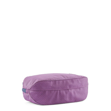 Patagonia Black Hole Cube 3L Brisk Purple
