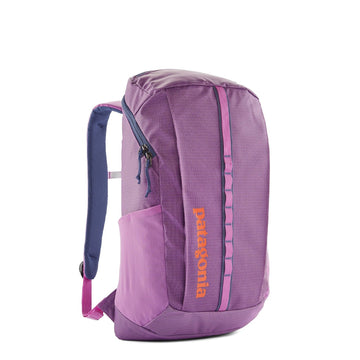 patagonia black hole backpack uk Patagonia Black Hole Pack 25L Brisk Purple – Parasol Store