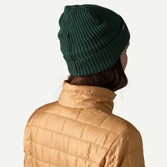 Patagonia Fisherman's Rolled Beanie Cascade Green - Parasol Store