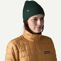 Patagonia Fisherman's Rolled Beanie Cascade Green - Parasol Store