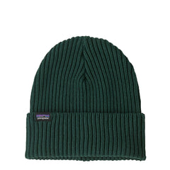 Patagonia Fisherman's Rolled Beanie Cascade Green - Parasol Store