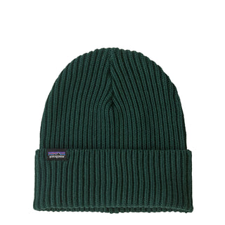 Patagonia Fisherman's Rolled Beanie Cascade Green