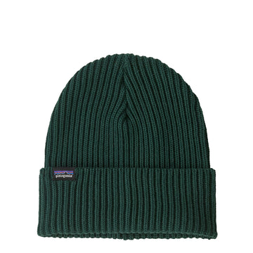 Patagonia Fisherman's Rolled Beanie Cascade Green