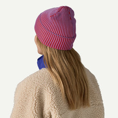 Patagonia Fisherman's Rolled Beanie Contrast Stripe Brisk Purple - Parasol Store