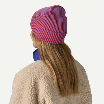 Patagonia Fisherman's Rolled Beanie Contrast Stripe Brisk Purple