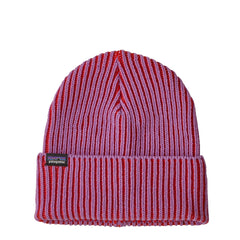 Patagonia Fisherman's Rolled Beanie Contrast Stripe Brisk Purple - Parasol Store