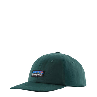 Patagonia P-6 Label Trad Cap Cascade Green - Parasol Store