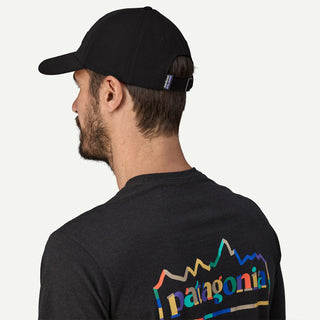 Patagonia P-6 Label Trad Cap Cascade Green - Parasol Store