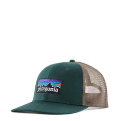 Patagonia P-6 Logo Trucker Hat Cascade Green - Parasol Store