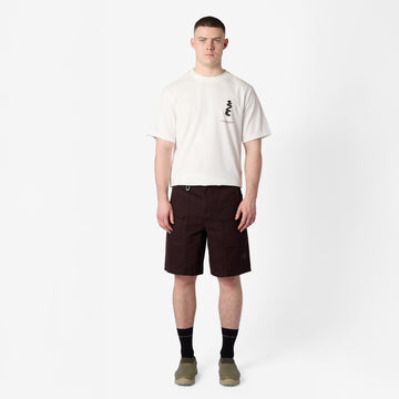 Purple Mountain Observatory Atlas Short Brown