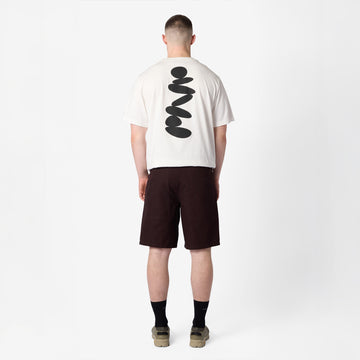Purple Mountain Observatory Atlas Short Brown