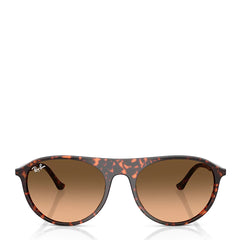 Ray-Ban RB2215 14293B 59 Sunglasess Polished Havana / Red Tortoiseshell - Parasol Store