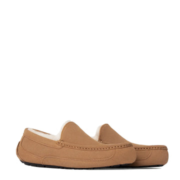 UGG Ascot Slipper Chestnut - Parasol Store