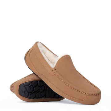 UGG Ascot Slipper Chestnut - Parasol Store