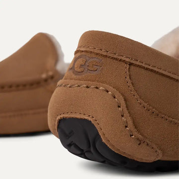 UGG Ascot Slipper Chestnut - Parasol Store