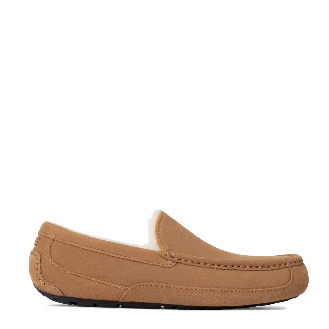 UGG Ascot Slipper Chestnut - Parasol Store