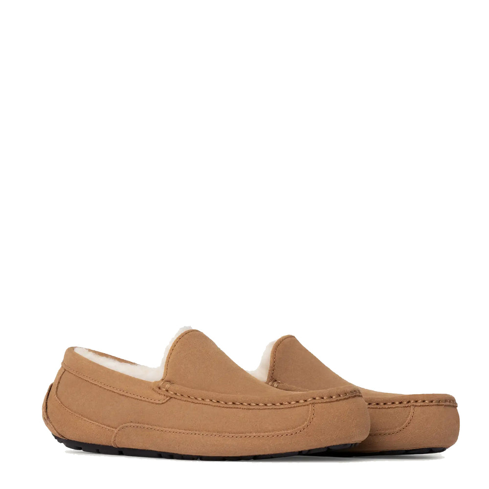 UGG Ascot Slipper Chestnut - Parasol Store
