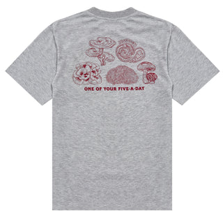 Hikerdelic 5 a Day SS T-Shirt Grey Marl Hikerdelic