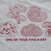 Hikerdelic 5 a Day SS T-Shirt Grey Marl Hikerdelic