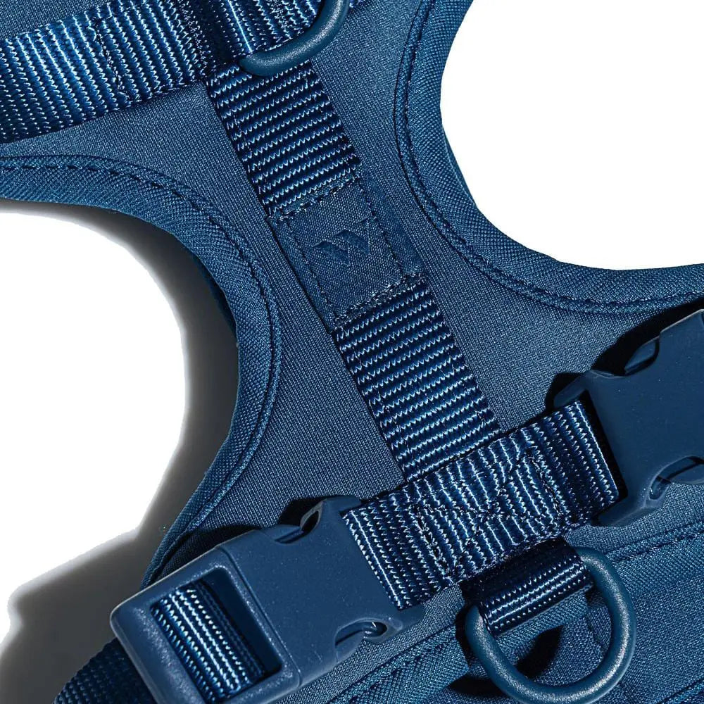 Wild One Dog Harness 2.0 Blue Wild One